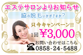 エステサロンより